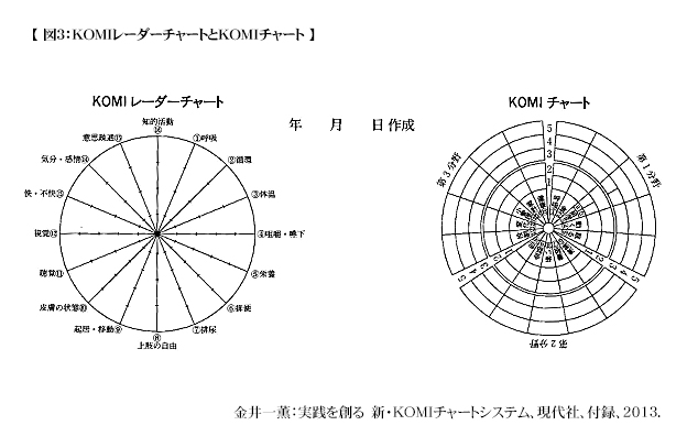 komi-care-chart-system